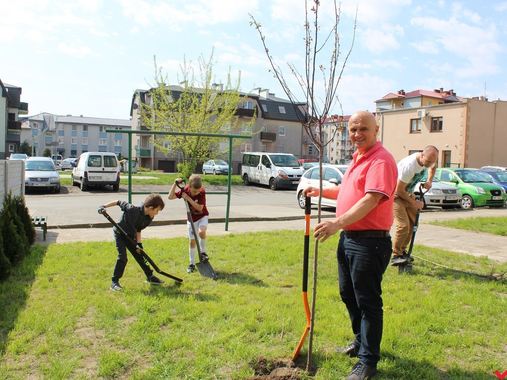 Wrześnianie chwycili za szpadle i wspólnie posadzili niemal sto drzew