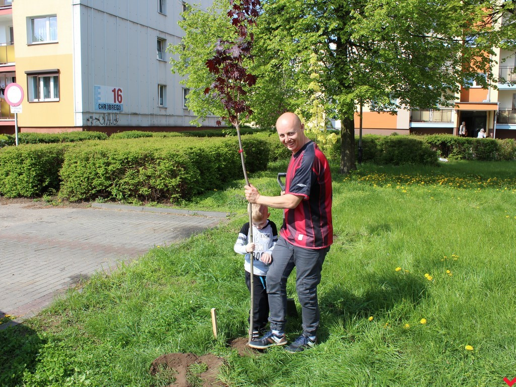 Wrześnianie chwycili za szpadle i wspólnie posadzili niemal sto drzew