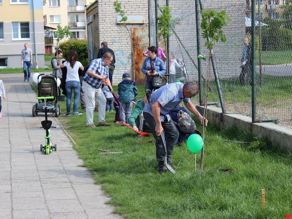 Wrześnianie chwycili za szpadle i wspólnie posadzili niemal sto drzew