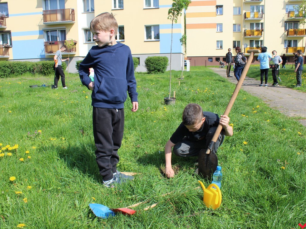 Wrześnianie chwycili za szpadle i wspólnie posadzili niemal sto drzew
