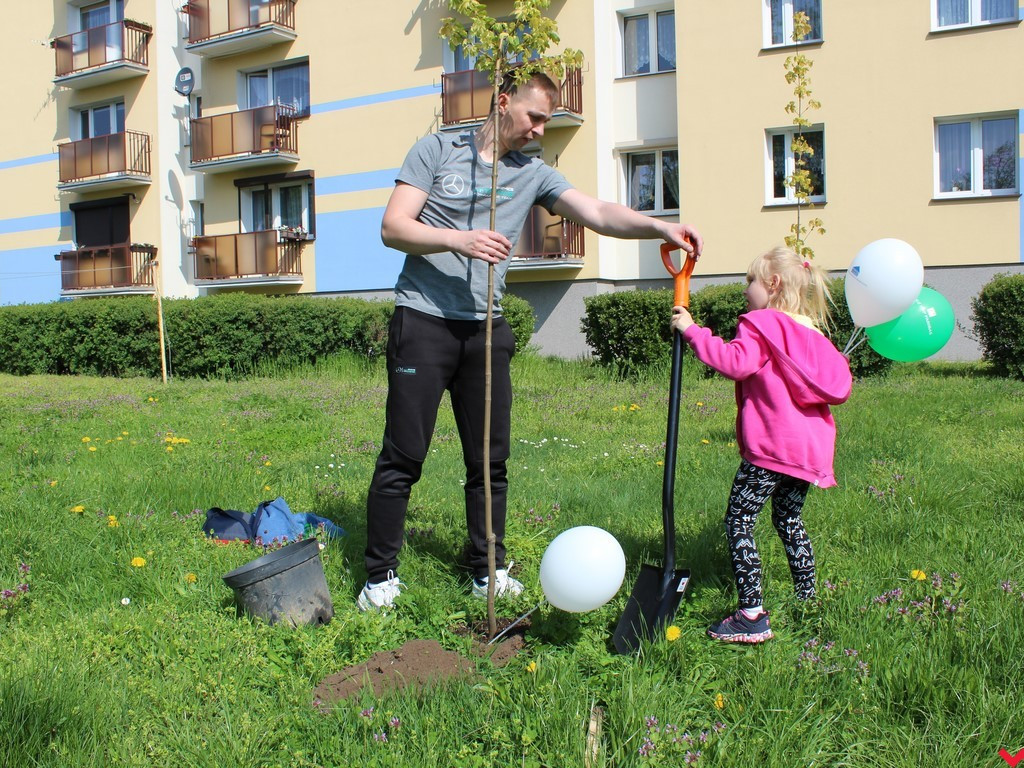 Wrześnianie chwycili za szpadle i wspólnie posadzili niemal sto drzew