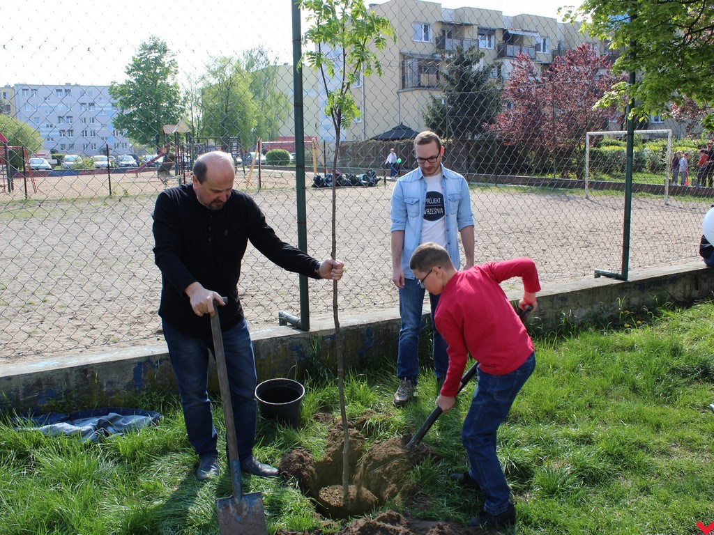 Wrześnianie chwycili za szpadle i wspólnie posadzili niemal sto drzew