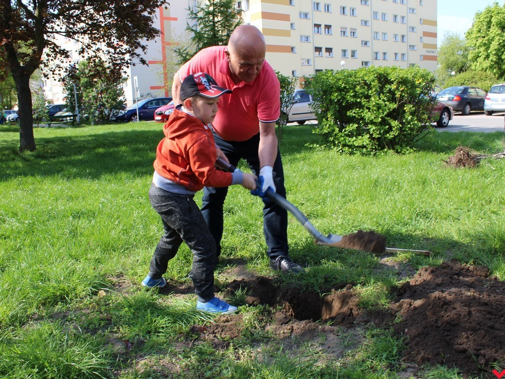 Wrześnianie chwycili za szpadle i wspólnie posadzili niemal sto drzew