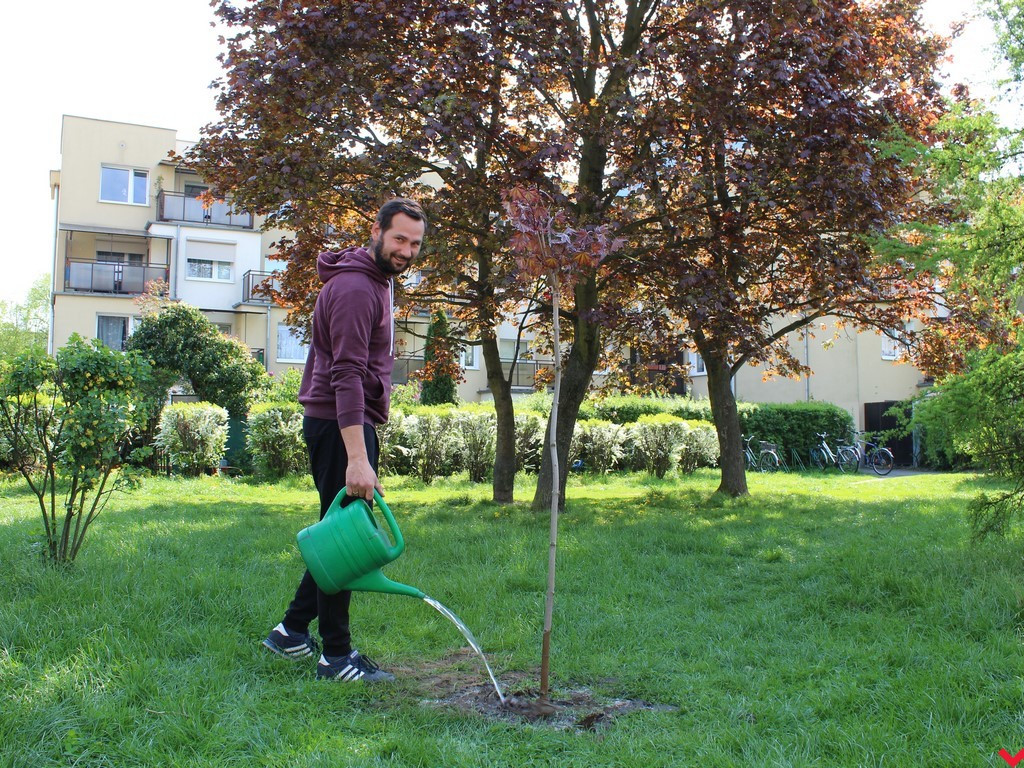 Wrześnianie chwycili za szpadle i wspólnie posadzili niemal sto drzew