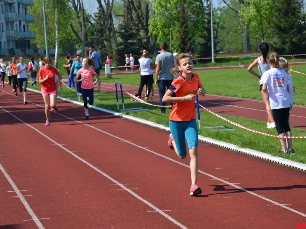 Oblężenie Powiatowej Strefy Sportu. Nawet najmłodsi mogli liczyć na medal