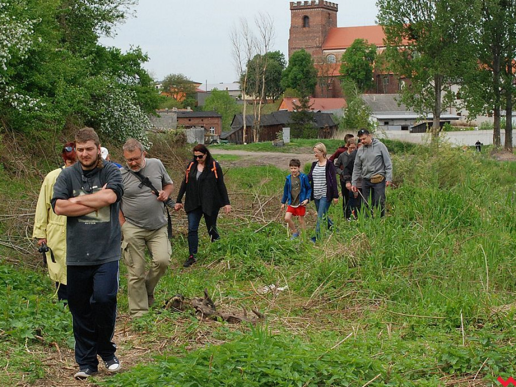 Wiatrak holenderski główną atrakcją  projektu „Pyzdrzanie zwiedzają miasto”