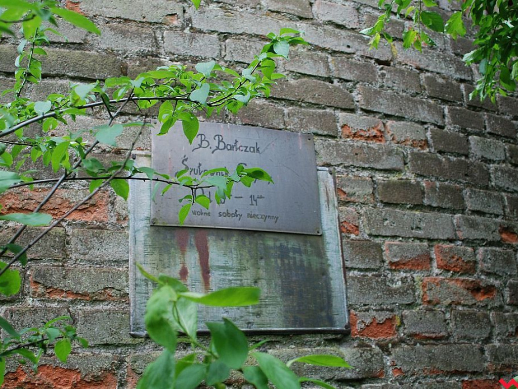 Wiatrak holenderski główną atrakcją  projektu „Pyzdrzanie zwiedzają miasto”