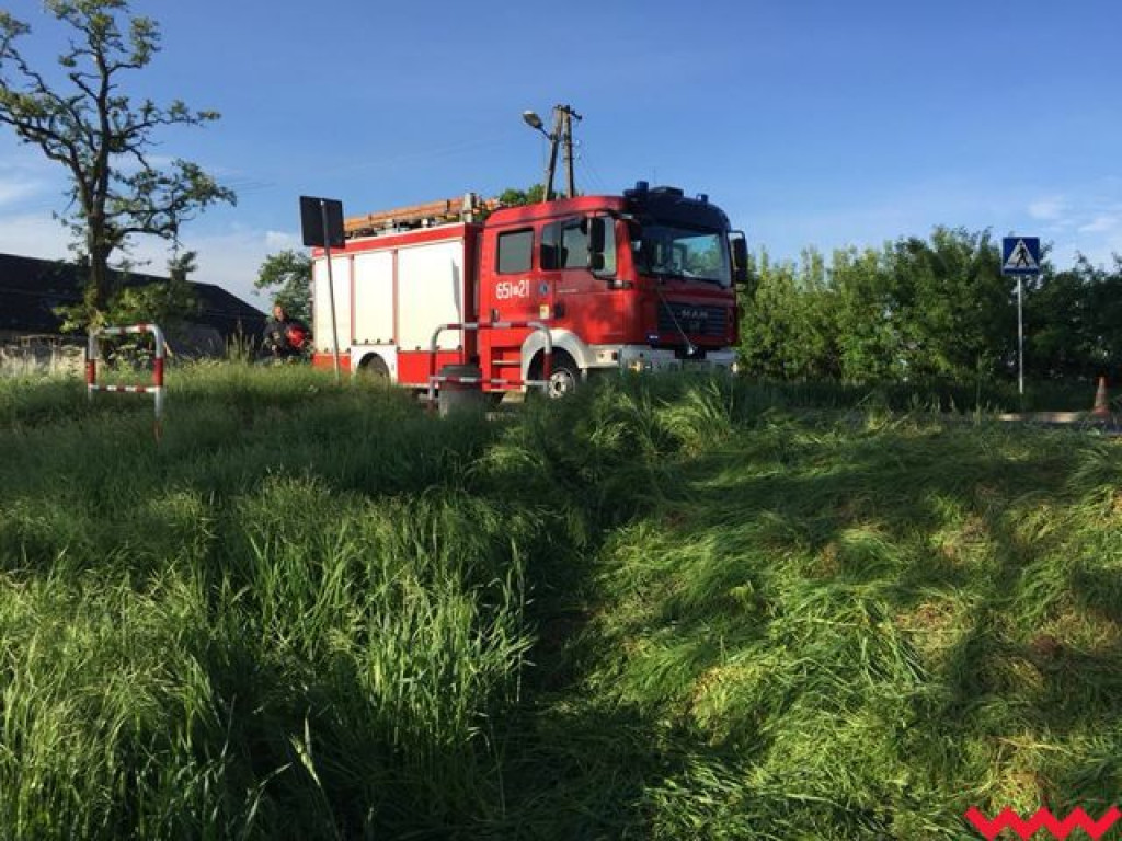 Seria wypadków na terenie powiatu. Jeden kierowca zjechał z drogi i uderzył w drzewo