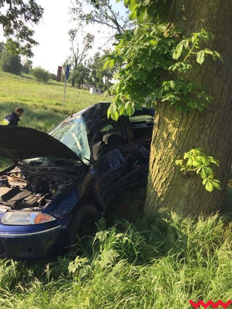 Seria wypadków na terenie powiatu. Jeden kierowca zjechał z drogi i uderzył w drzewo