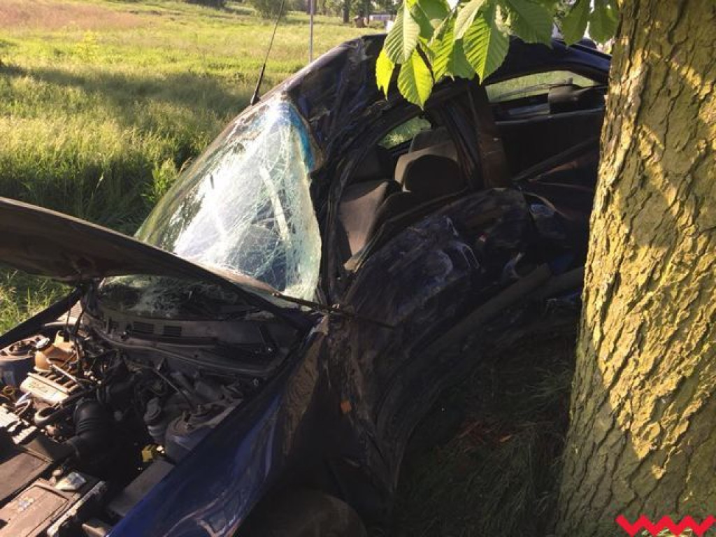 Seria wypadków na terenie powiatu. Jeden kierowca zjechał z drogi i uderzył w drzewo