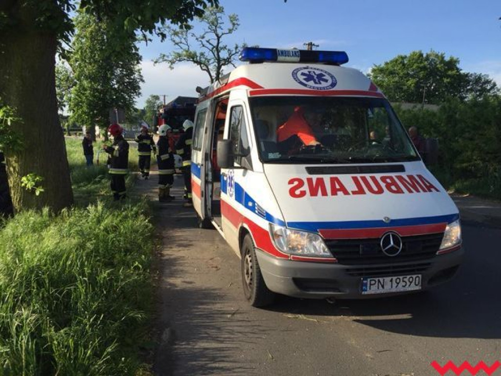 Seria wypadków na terenie powiatu. Jeden kierowca zjechał z drogi i uderzył w drzewo