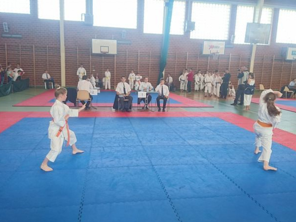 Świetny występ karateków w Igrzyskach Młodzieży Szkolnej. Reprezentanci Wrzesińskiego Klubu Karate zdobywali medale dla sześciu szkół (galeria)