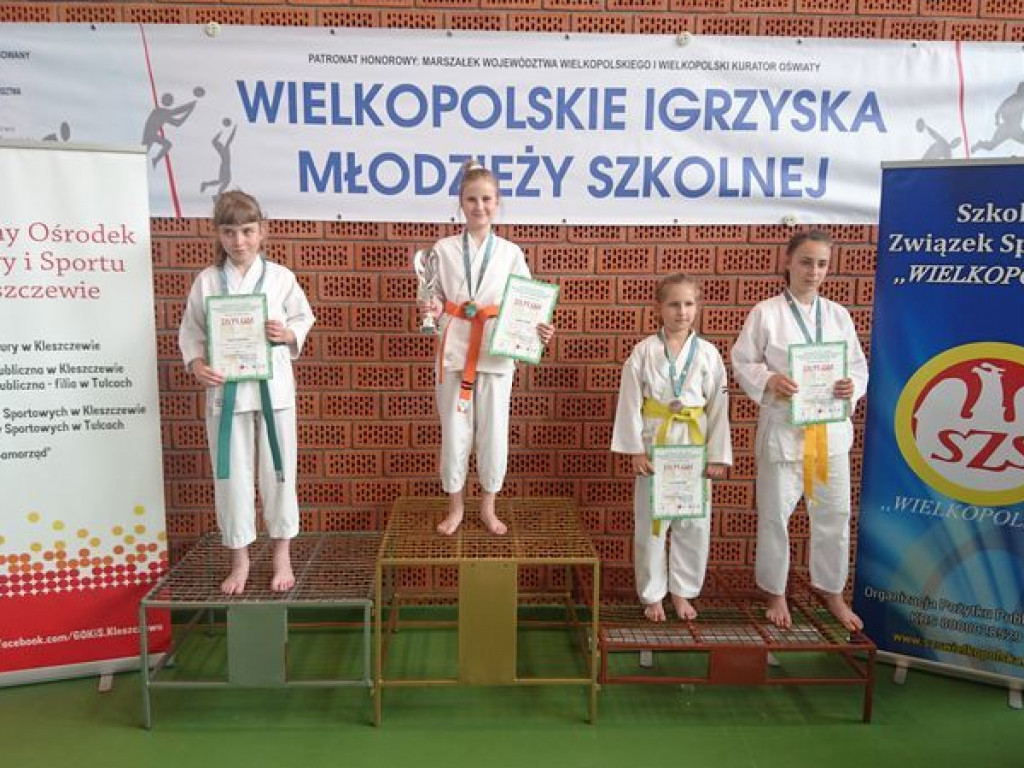 Świetny występ karateków w Igrzyskach Młodzieży Szkolnej. Reprezentanci Wrzesińskiego Klubu Karate zdobywali medale dla sześciu szkół (galeria)
