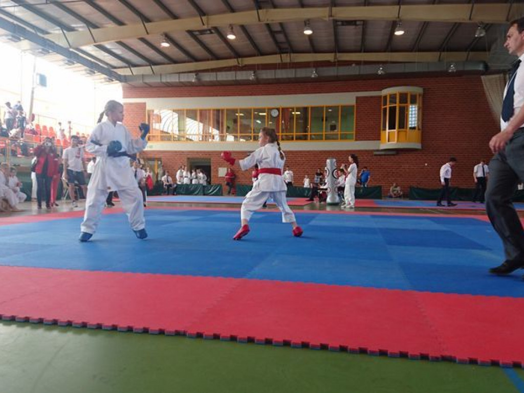 Świetny występ karateków w Igrzyskach Młodzieży Szkolnej. Reprezentanci Wrzesińskiego Klubu Karate zdobywali medale dla sześciu szkół (galeria)