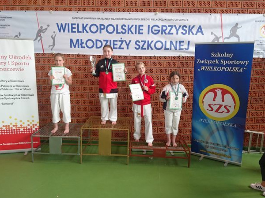 Świetny występ karateków w Igrzyskach Młodzieży Szkolnej. Reprezentanci Wrzesińskiego Klubu Karate zdobywali medale dla sześciu szkół (galeria)