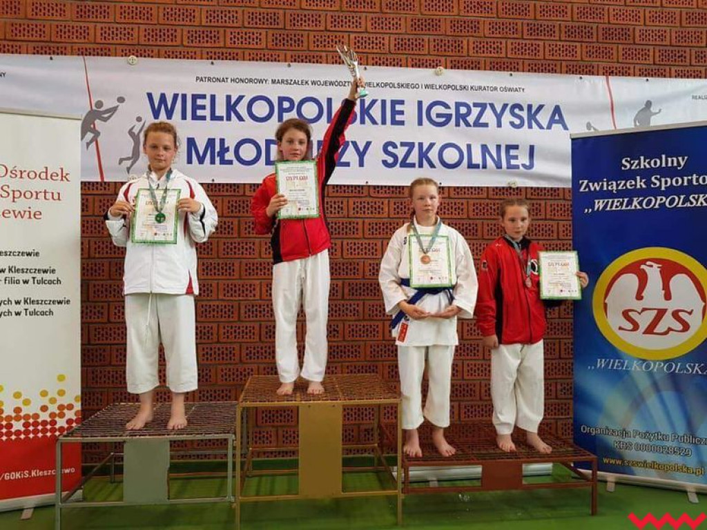 Świetny występ karateków w Igrzyskach Młodzieży Szkolnej. Reprezentanci Wrzesińskiego Klubu Karate zdobywali medale dla sześciu szkół (galeria)