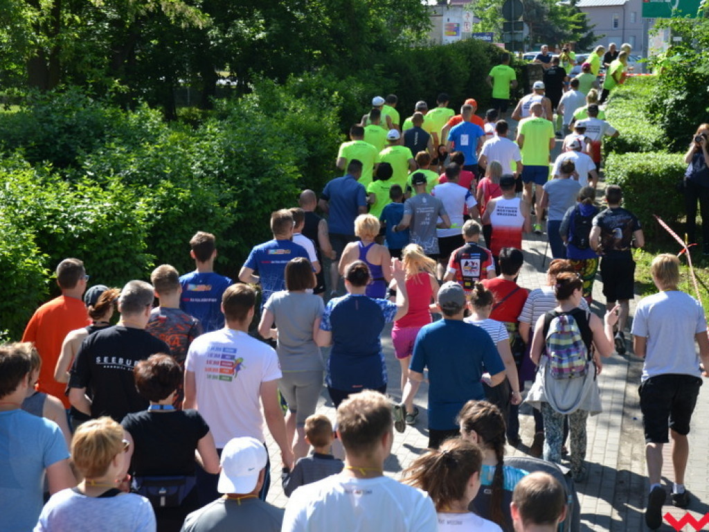 Bez nerwów i rywalizacji. IX Wrzesiński Bieg Rodzinny niczym piknik