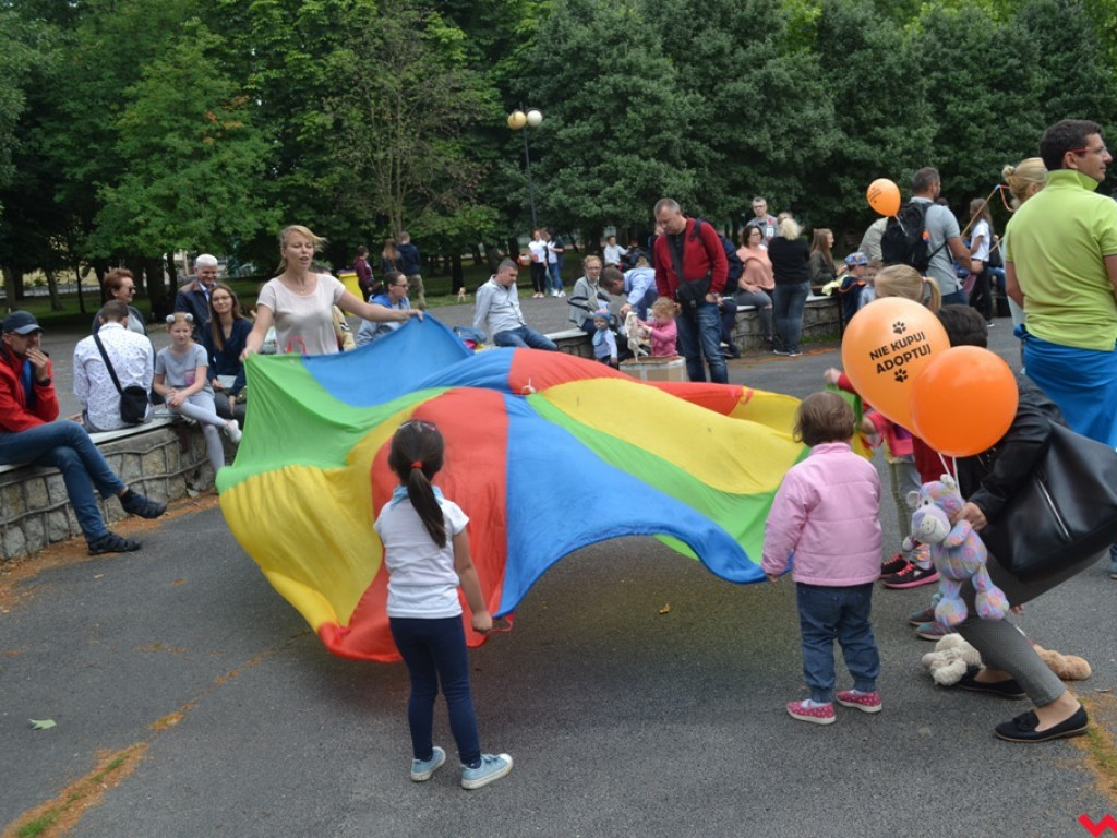 Rozszczekany piknik w parku. Stowarzyszenie Psi-Jaciel świętowało drugie urodziny