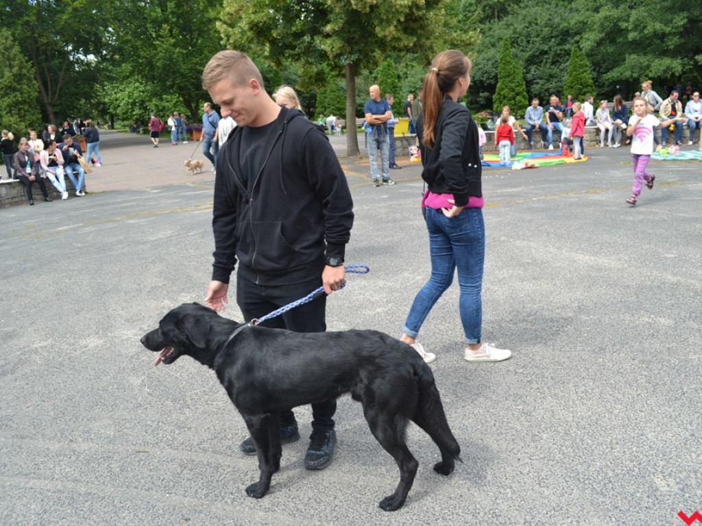 Rozszczekany piknik w parku. Stowarzyszenie Psi-Jaciel świętowało drugie urodziny