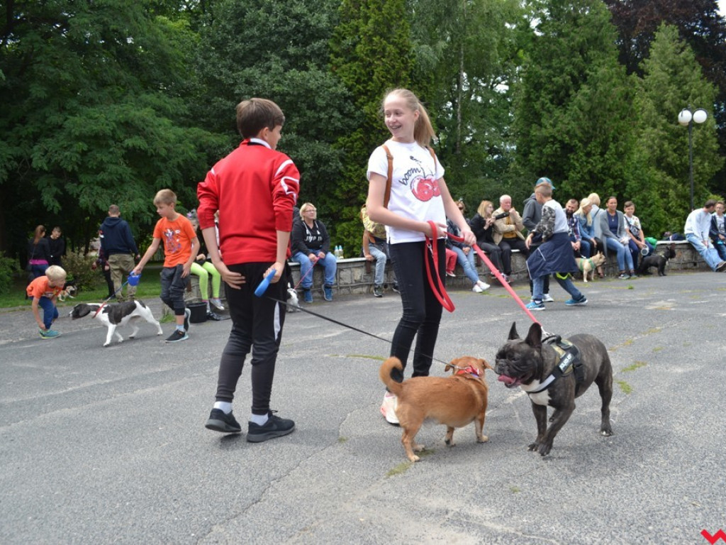 Rozszczekany piknik w parku. Stowarzyszenie Psi-Jaciel świętowało drugie urodziny