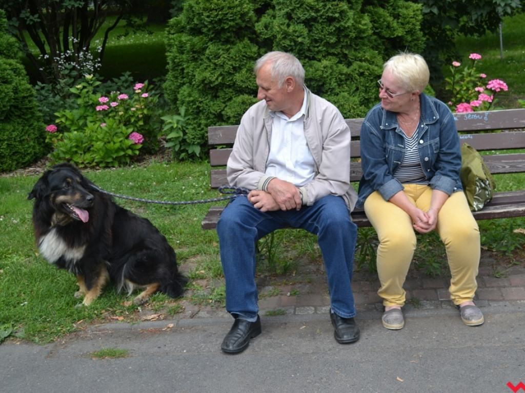 Rozszczekany piknik w parku. Stowarzyszenie Psi-Jaciel świętowało drugie urodziny