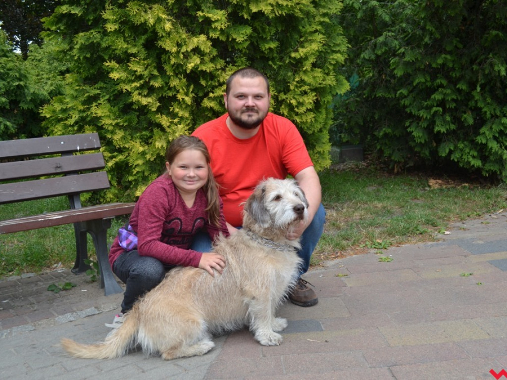Rozszczekany piknik w parku. Stowarzyszenie Psi-Jaciel świętowało drugie urodziny