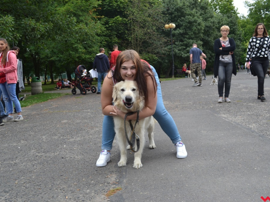 Rozszczekany piknik w parku. Stowarzyszenie Psi-Jaciel świętowało drugie urodziny