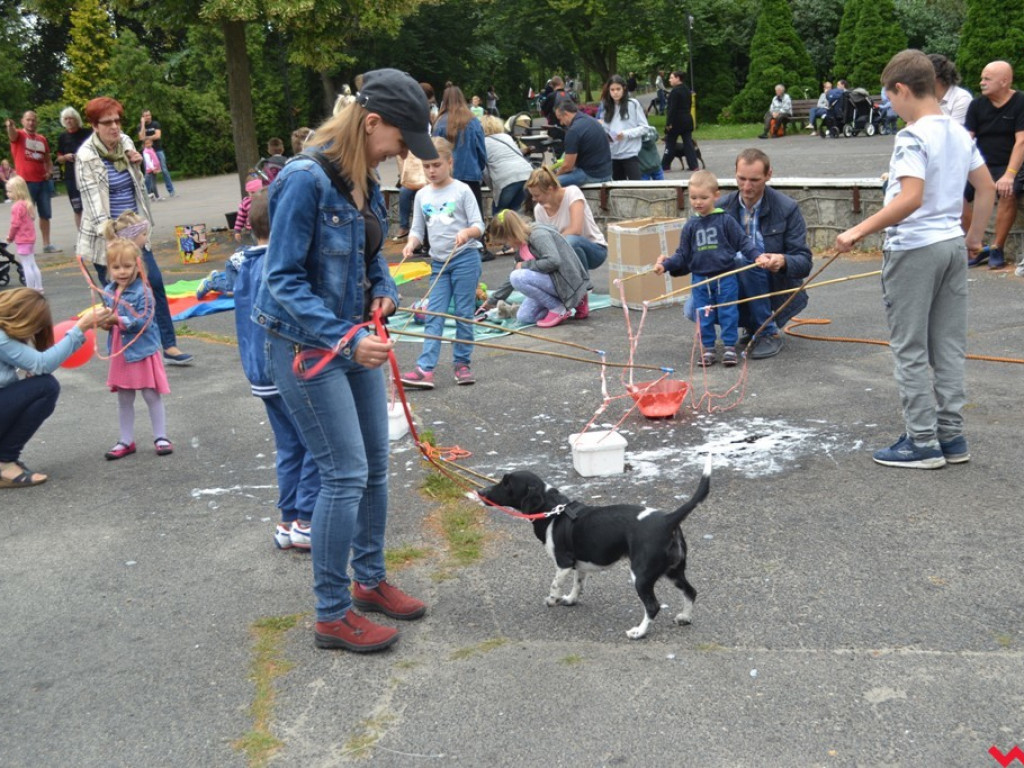 Rozszczekany piknik w parku. Stowarzyszenie Psi-Jaciel świętowało drugie urodziny