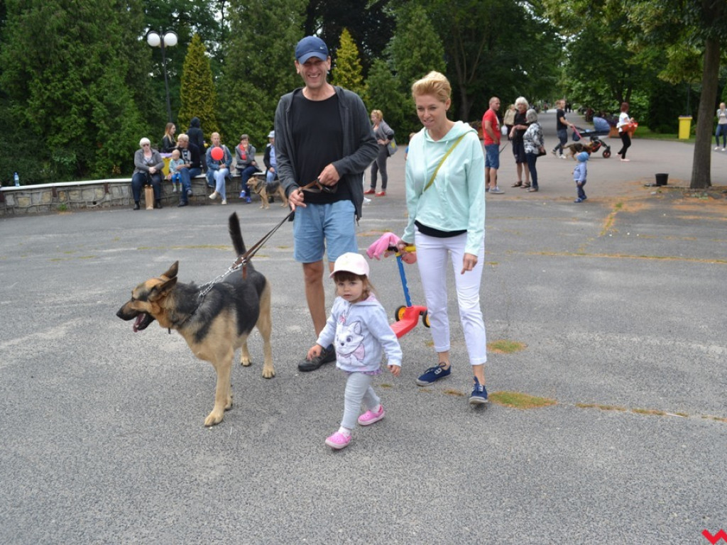Rozszczekany piknik w parku. Stowarzyszenie Psi-Jaciel świętowało drugie urodziny