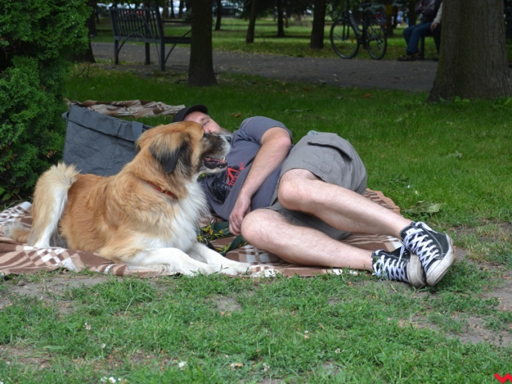 Rozszczekany piknik w parku. Stowarzyszenie Psi-Jaciel świętowało drugie urodziny