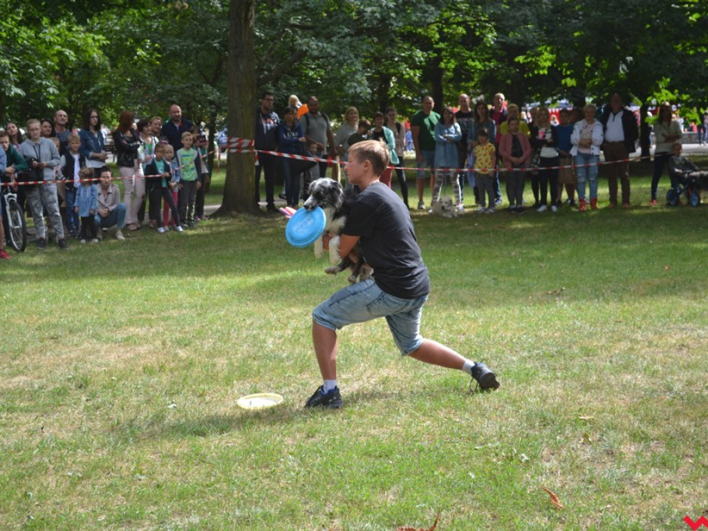 Rozszczekany piknik w parku. Stowarzyszenie Psi-Jaciel świętowało drugie urodziny