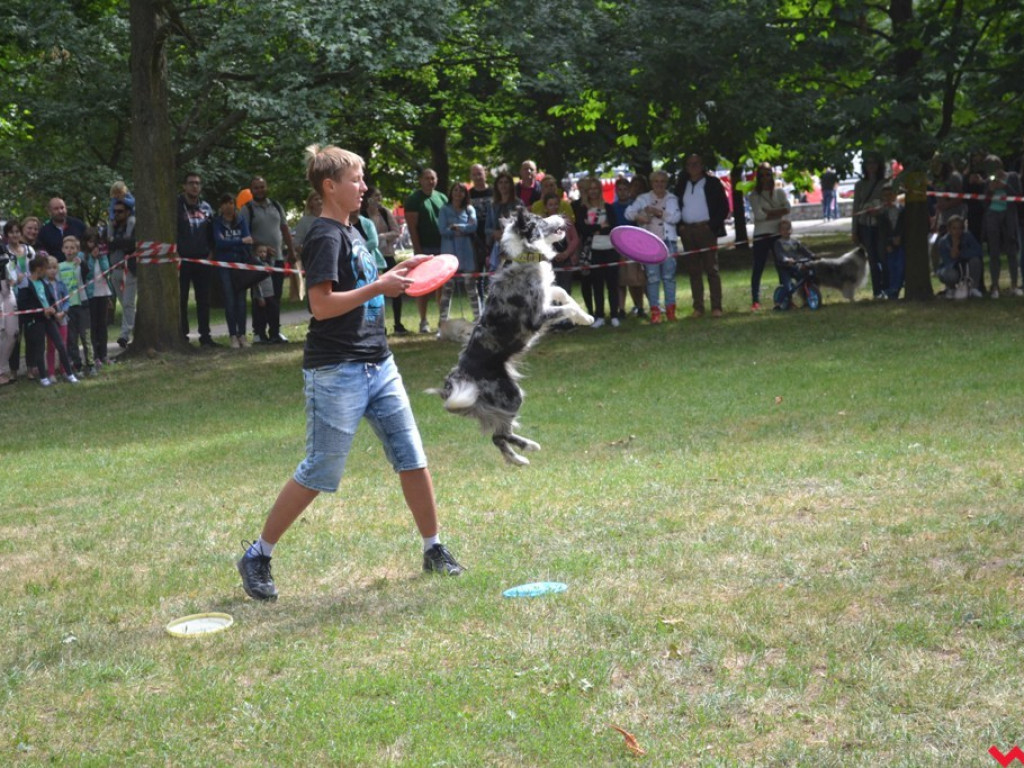 Rozszczekany piknik w parku. Stowarzyszenie Psi-Jaciel świętowało drugie urodziny