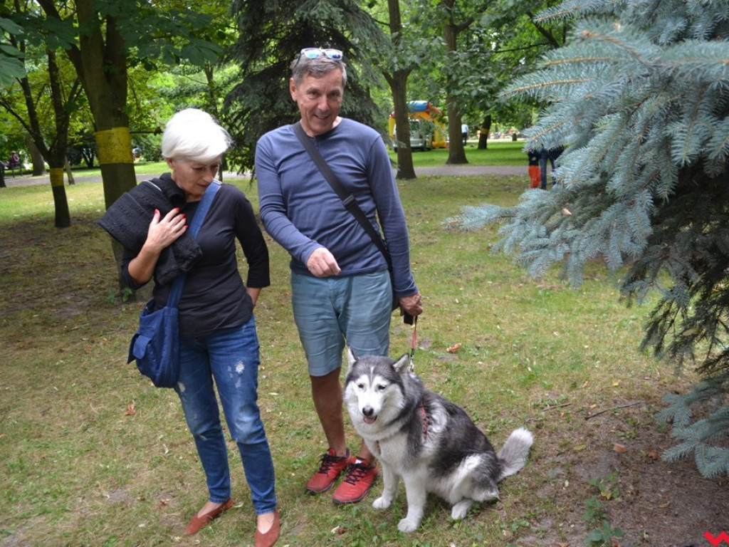 Rozszczekany piknik w parku. Stowarzyszenie Psi-Jaciel świętowało drugie urodziny