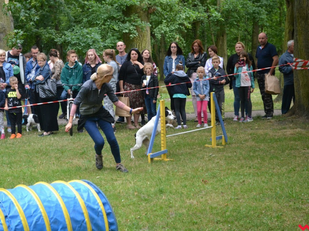 Rozszczekany piknik w parku. Stowarzyszenie Psi-Jaciel świętowało drugie urodziny