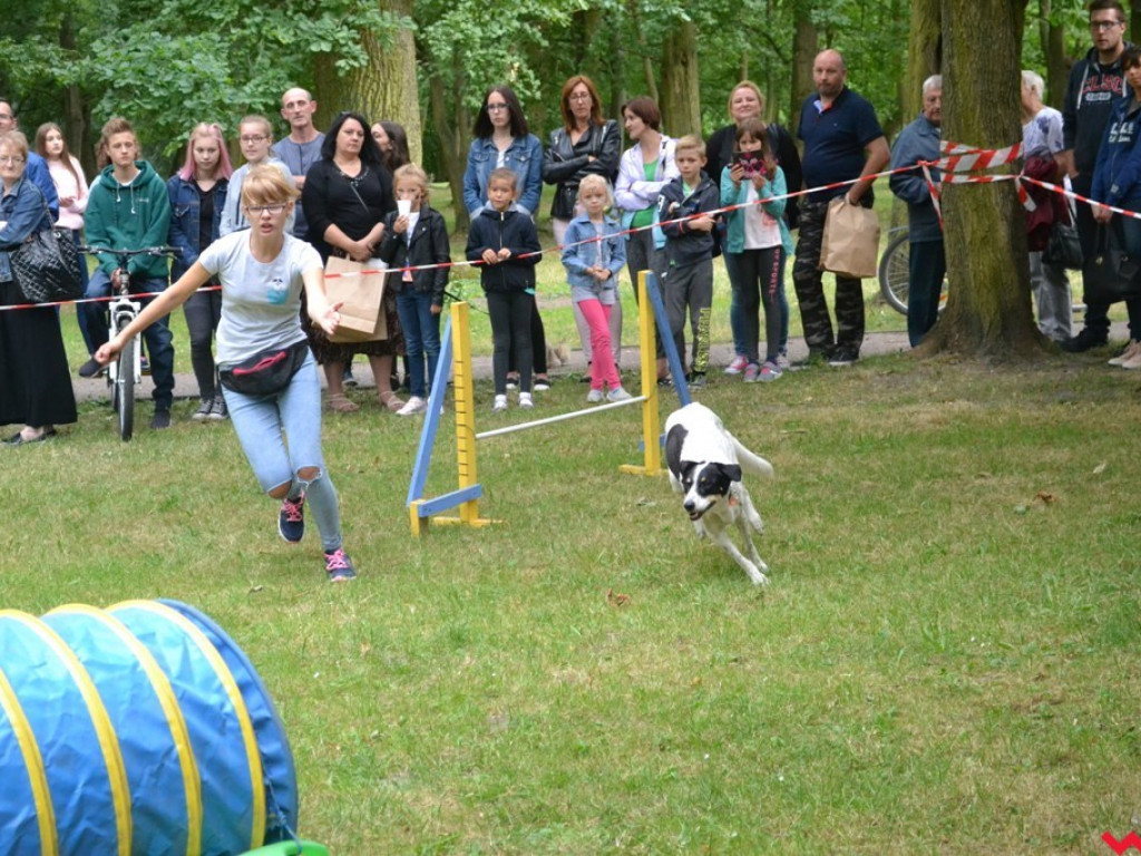 Rozszczekany piknik w parku. Stowarzyszenie Psi-Jaciel świętowało drugie urodziny