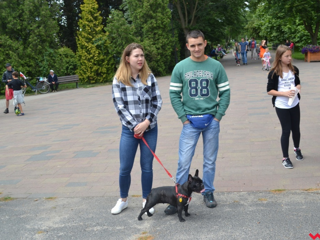 Rozszczekany piknik w parku. Stowarzyszenie Psi-Jaciel świętowało drugie urodziny
