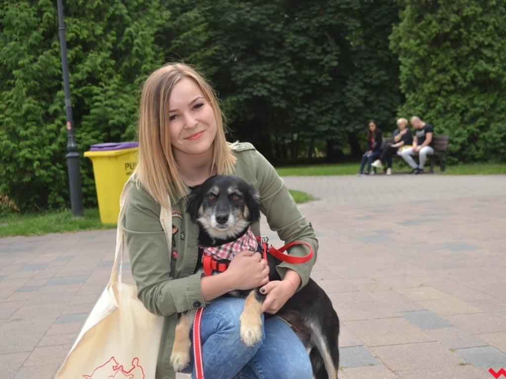 Rozszczekany piknik w parku. Stowarzyszenie Psi-Jaciel świętowało drugie urodziny