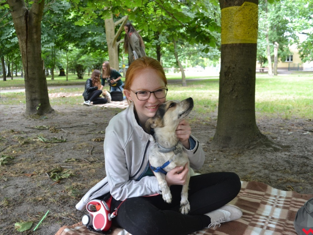 Rozszczekany piknik w parku. Stowarzyszenie Psi-Jaciel świętowało drugie urodziny