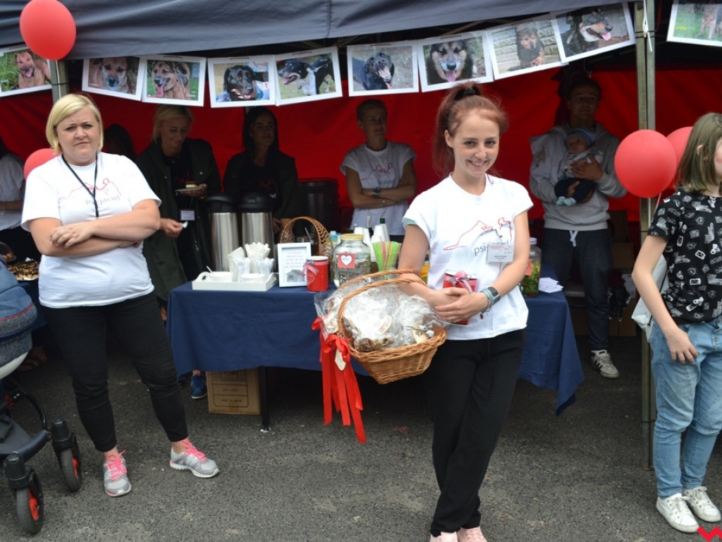 Rozszczekany piknik w parku. Stowarzyszenie Psi-Jaciel świętowało drugie urodziny