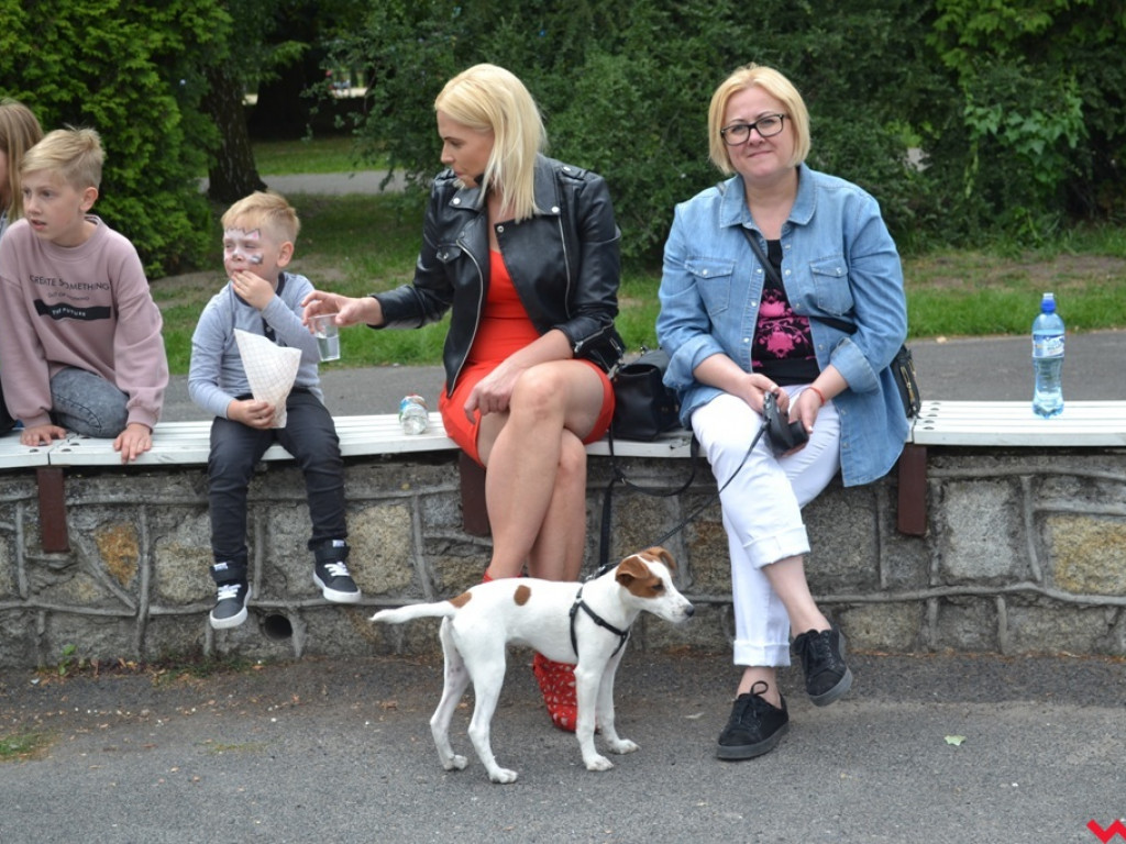 Rozszczekany piknik w parku. Stowarzyszenie Psi-Jaciel świętowało drugie urodziny