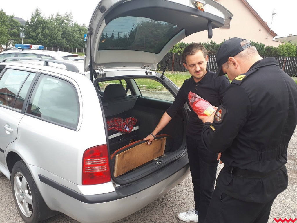 Sprawdzali wyposażenie pojazdów i zadawali kierowcom nietypowe pytanie