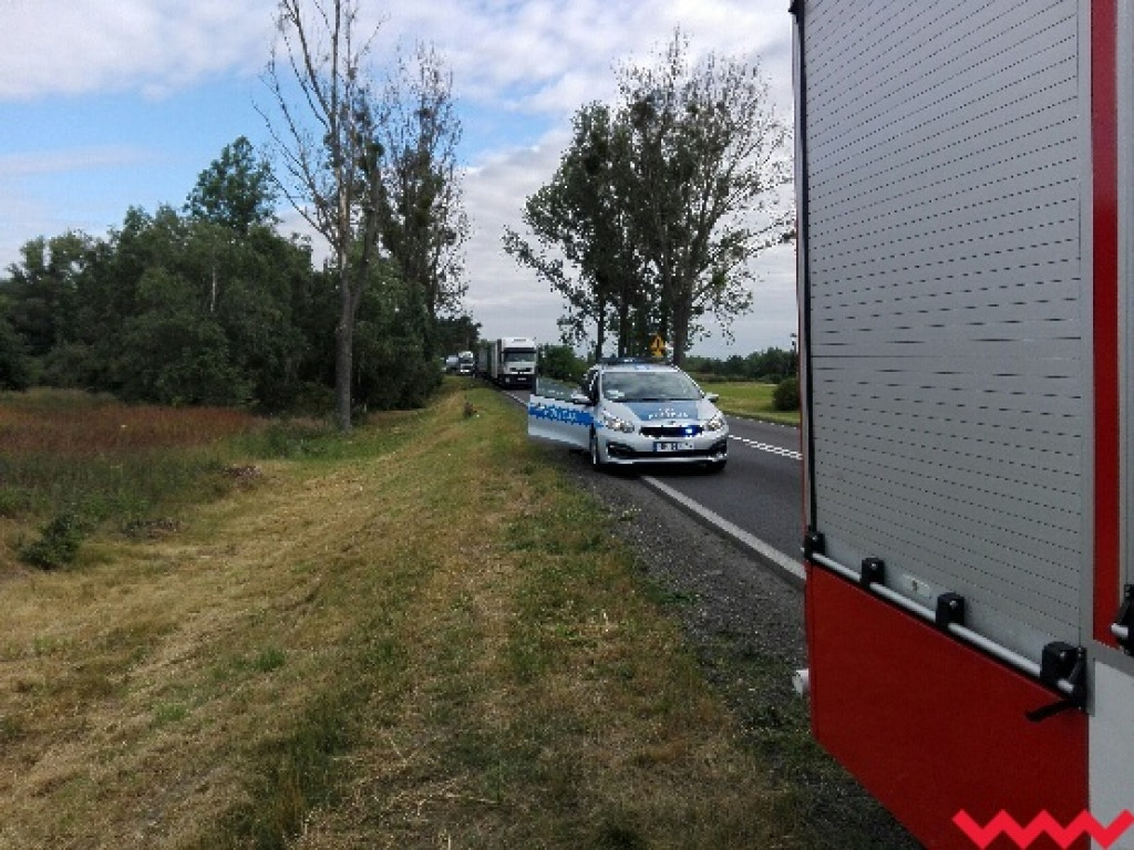 Dachowanie pod Pyzdrami. Auto zakończyło jazdę w polu