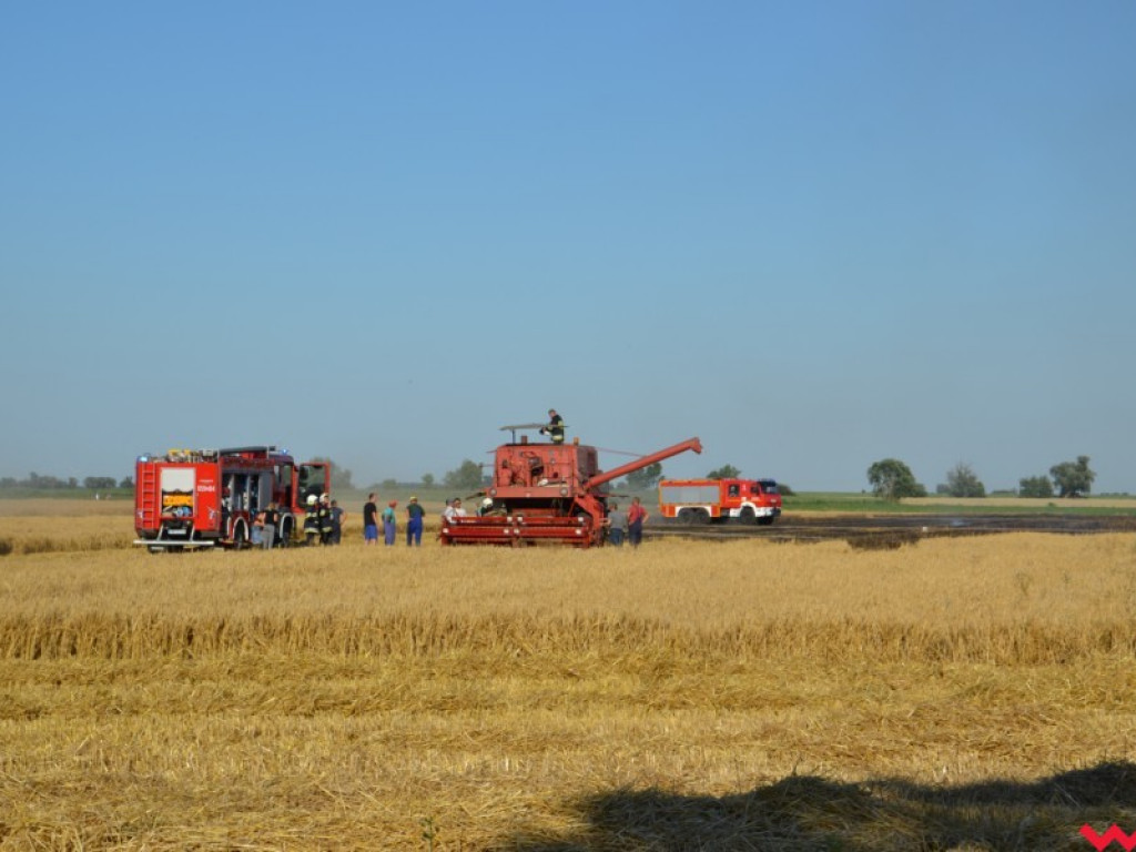 Wielką chmurę dymu było widać z daleka. Paliło się zboże