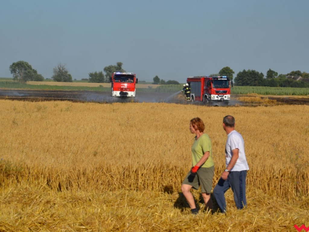Wielką chmurę dymu było widać z daleka. Paliło się zboże