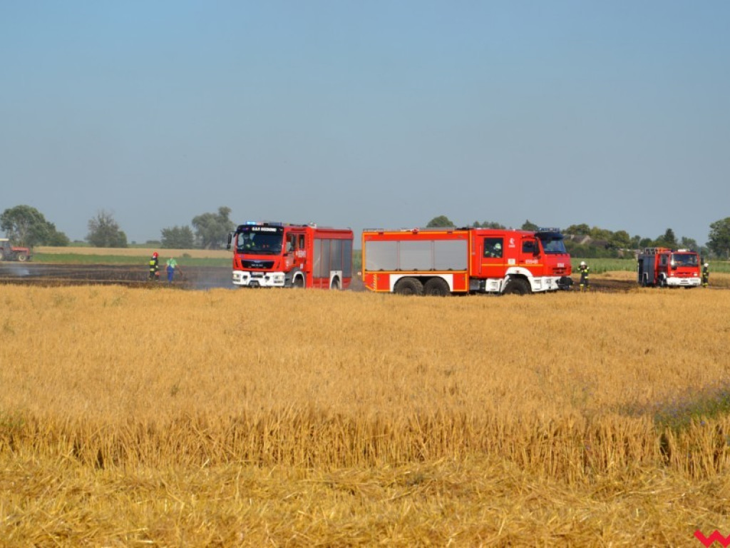 Wielką chmurę dymu było widać z daleka. Paliło się zboże