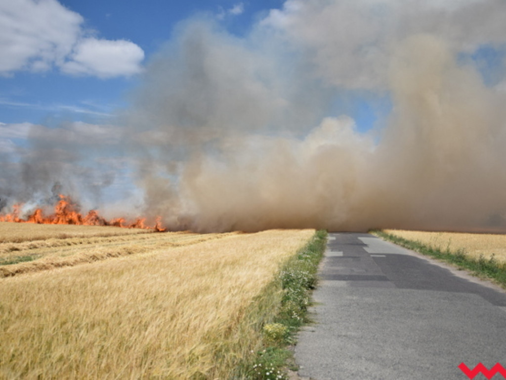 Przypadek czy podpalenie? Wielki pożar zboża na polu Agropolu w Kawęczynie