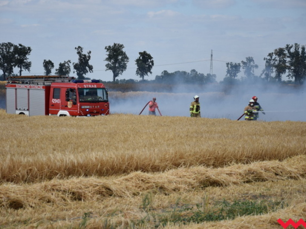 Przypadek czy podpalenie? Wielki pożar zboża na polu Agropolu w Kawęczynie