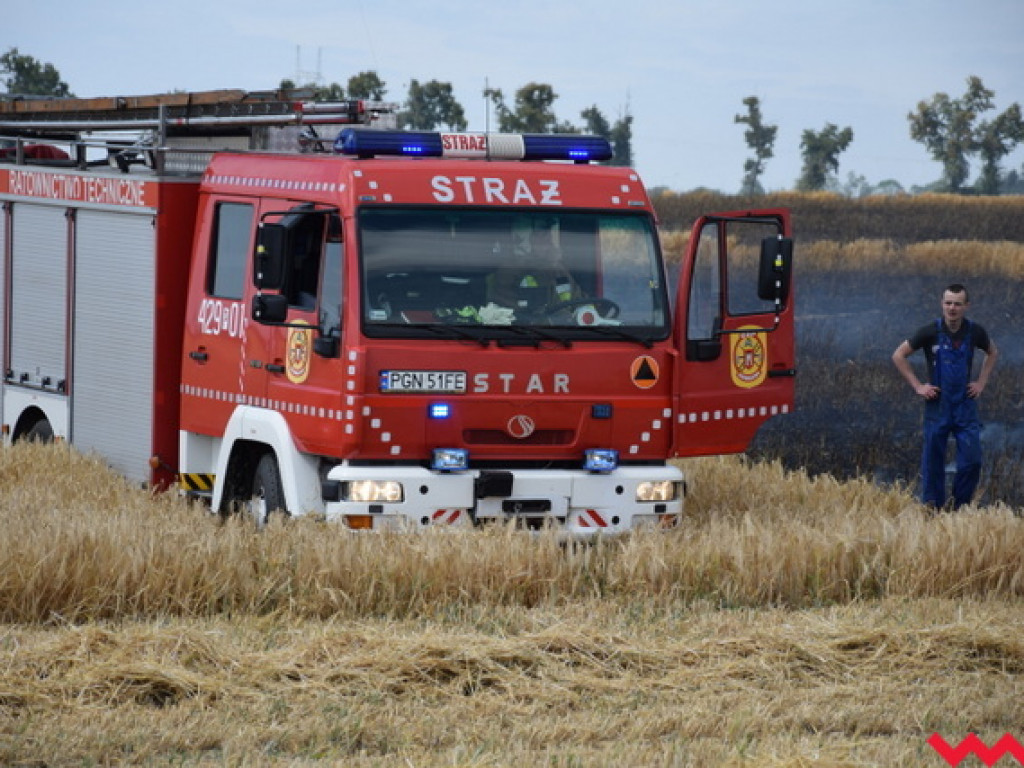 Przypadek czy podpalenie? Wielki pożar zboża na polu Agropolu w Kawęczynie