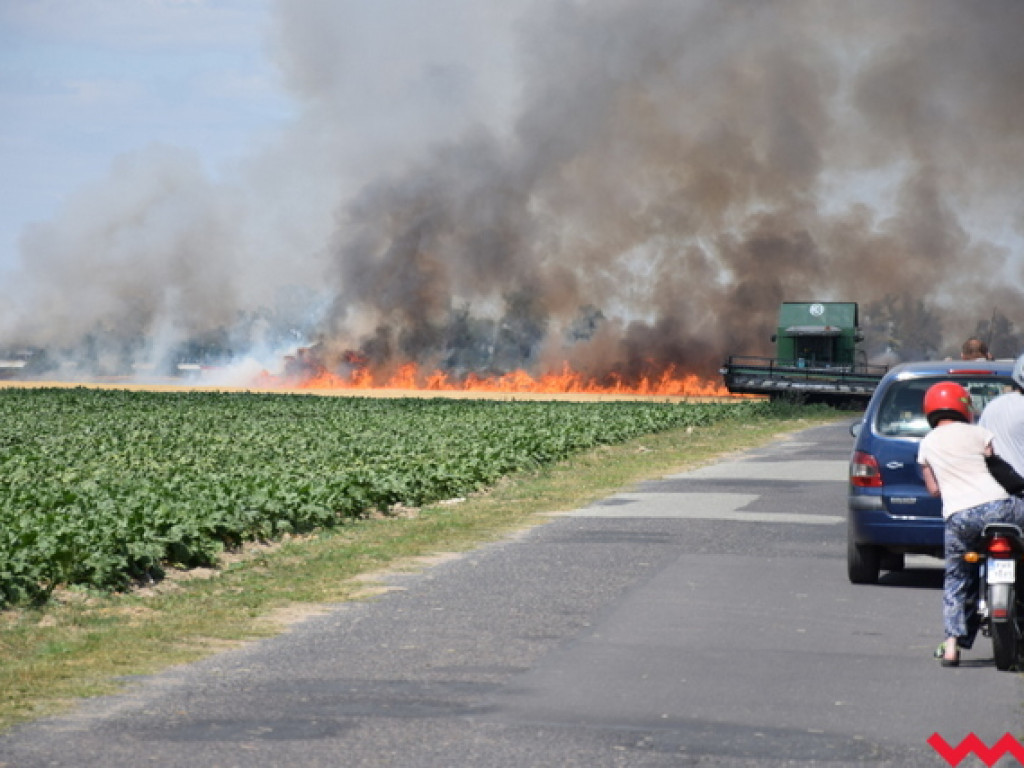 Przypadek czy podpalenie? Wielki pożar zboża na polu Agropolu w Kawęczynie
