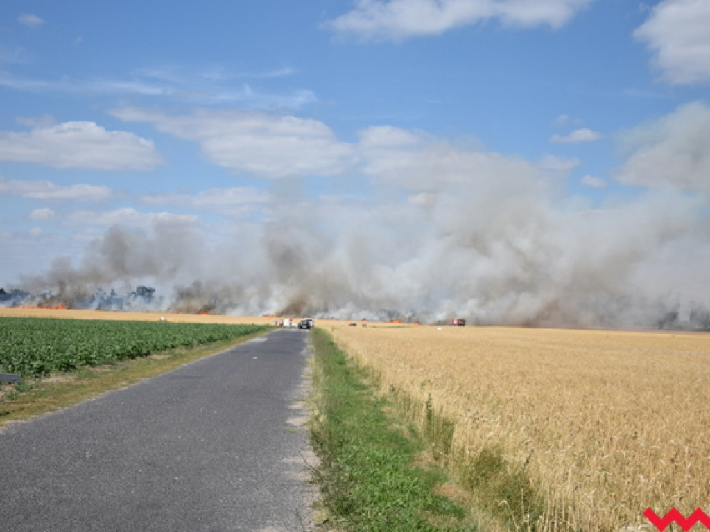Przypadek czy podpalenie? Wielki pożar zboża na polu Agropolu w Kawęczynie